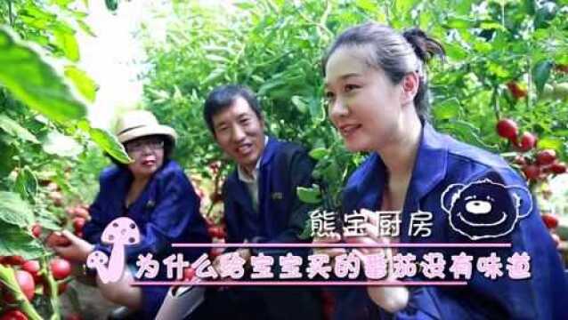 圣女果是转基因的?番茄教父首次揭开其中奥秘 安全给宝宝挑番茄