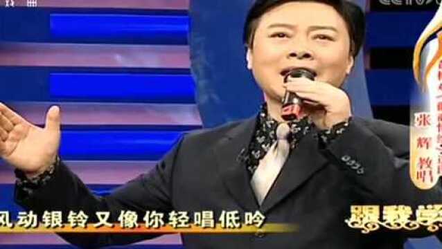 黄梅戏《徽商情缘》选段,演唱张辉