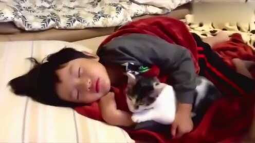 猫咪趁着小主人睡着，又亲又摸，妈妈看得直乐