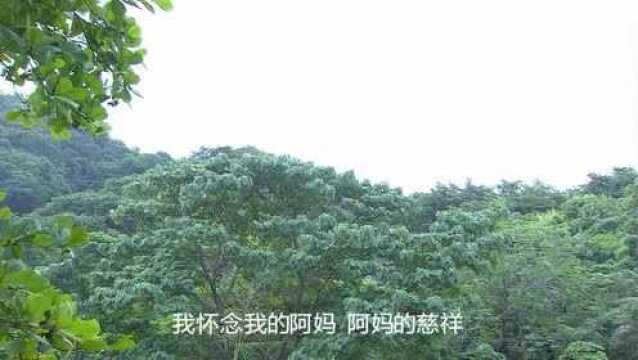 乌兰图雅《红红的萨日朗》这是一首红遍大江南北的草原歌曲