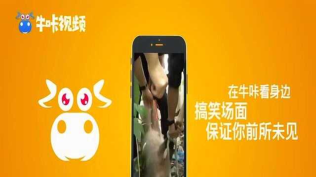 用视频探索科普乐趣 牛咔视频“探索频道”上线