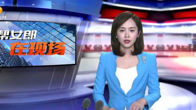 “捂紧”电子钱包,长沙检方通报新型盗窃案件