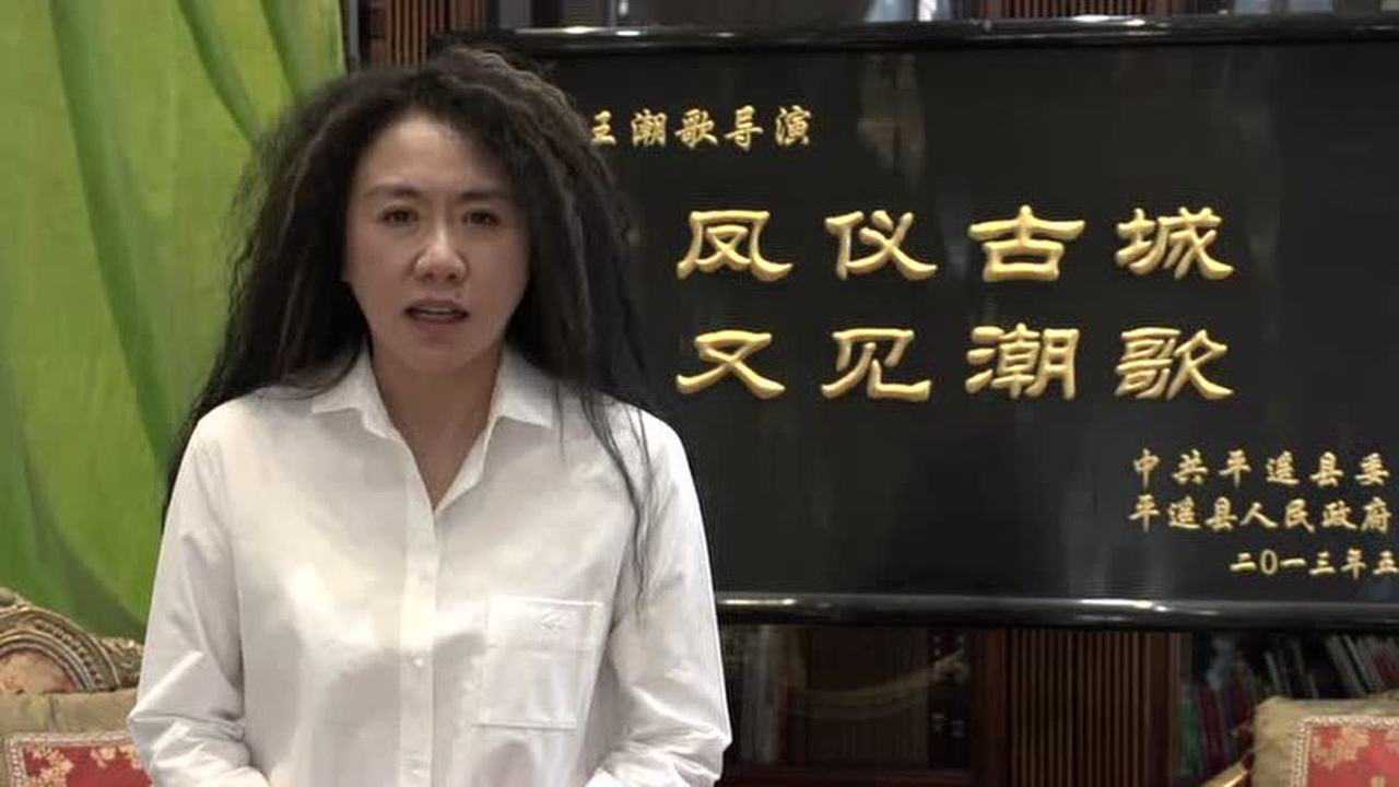王潮歌的评语
