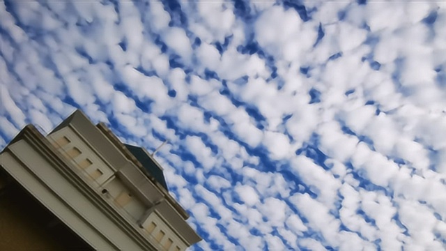 天空长出“鱼鳞”,惠州市民直呼“太美了”,听气象部门怎么说