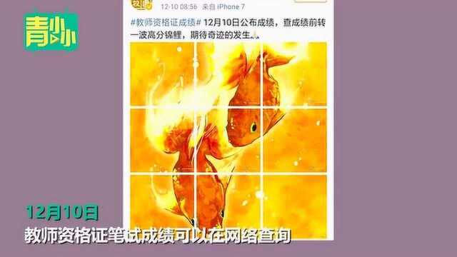 今天《教师资格证》上了N次热搜!网友跪求:给我一个交面试费的机会