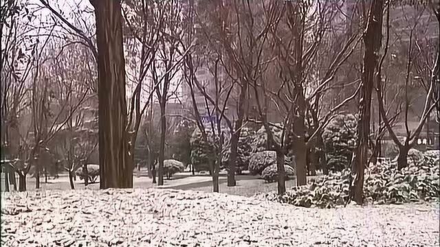 以雪为令 我市多部门多措并举积极应对今冬第一场雪