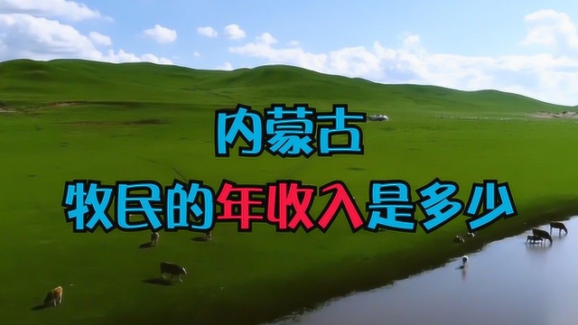 内蒙古牧民一年的收入大约是多少?