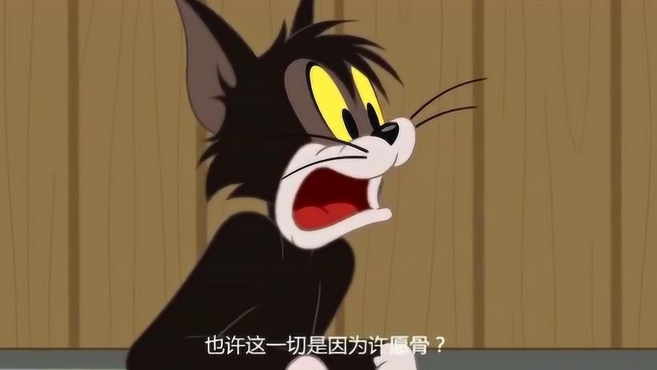 汤姆猫和野猫争夺猫食汤姆猫得到女神的亲吻
