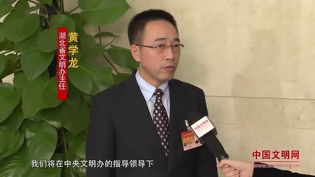 黄学龙:推动湖北省文明城市创建总体水平不断提升