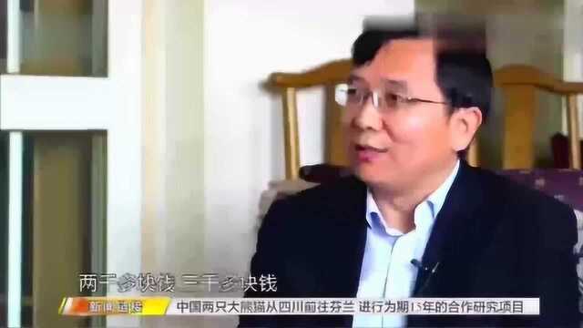 揭秘:传销也分帮派?北派VS南派,看专家如何释疑?