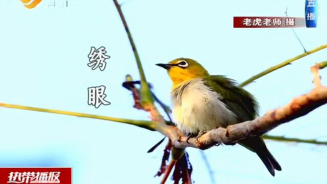 白沙门公园:鸟儿的安逸之巢 游人的休闲乐园