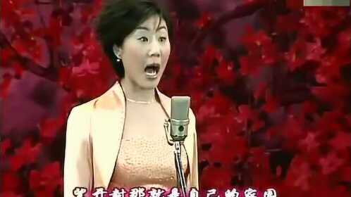 京剧《探阴山》选段 扶大宋锦华夷赤心肝胆 李小培演唱