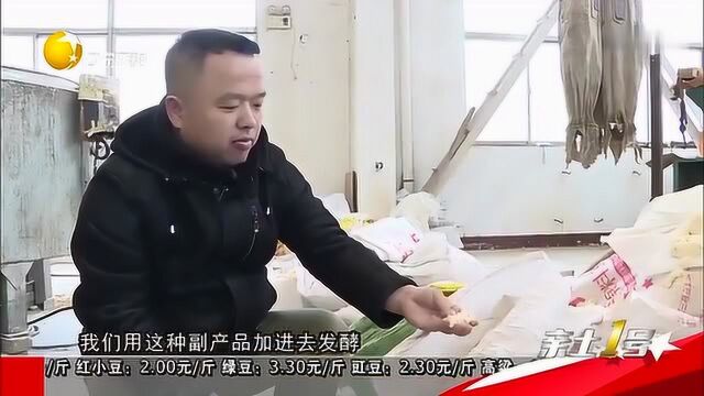 黑土地养猪还能放音乐红山猪的快乐生活,分享养殖新方法