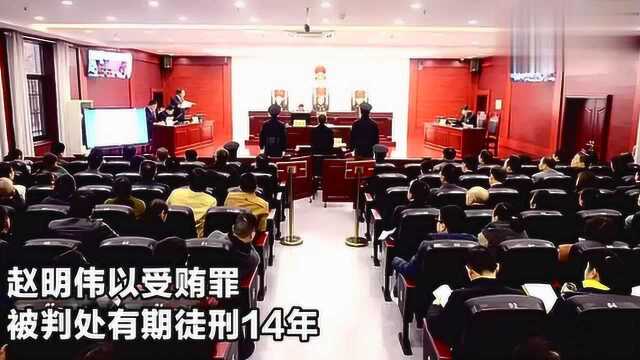 受贿数额特别巨大!安徽一市纪委原副书记赵明伟获刑14年