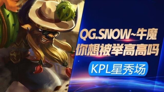 KPL最强星秀场:这才像是我心目中的辅助,Sonw:你想被举高高吗?