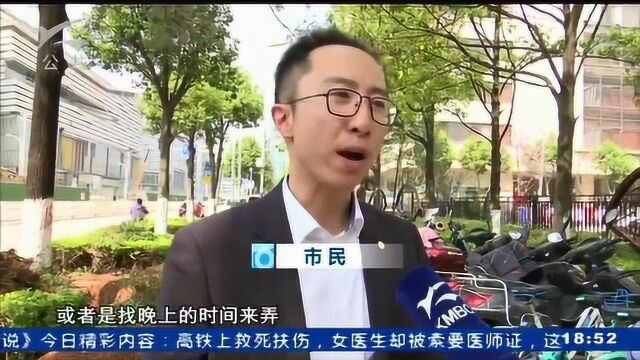 数百颗大树“裸根” 市民担心“风来倒”