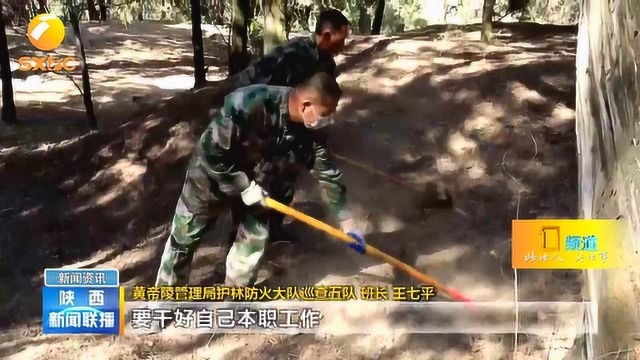 延安黄陵:守住生态“绿” 绘就龙乡“美”