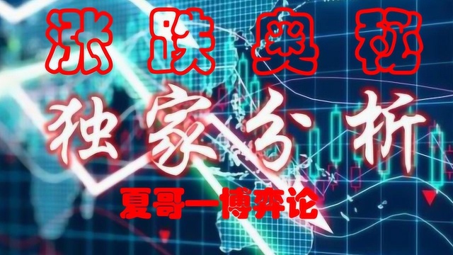 金利融汇 正版微交易夏哥精准交易全程