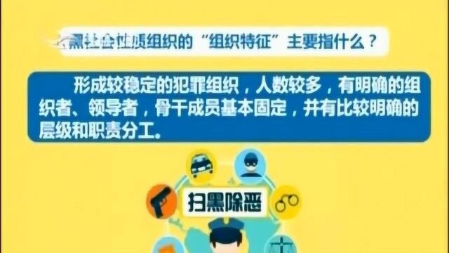 黑社会性质组织的“组织特征”“经济特征”“行为特征”主要指什么?