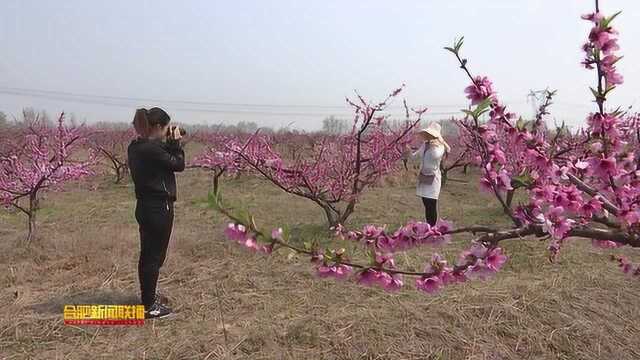 20190407清明乐享美丽田园风光