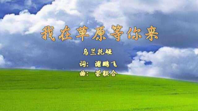 《我在草原等你来》MV音乐及广场舞欣赏