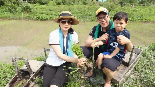 隐瞒了这么多年,郭晶晶的真实生活曝光,如今38岁的她让人唏嘘