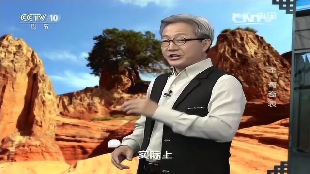 塑造地表形态因素很多,但不要被表象蒙蔽,地质考察要追根溯源