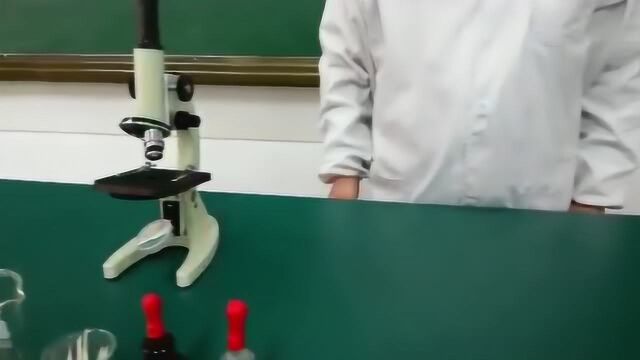 生物实验考试