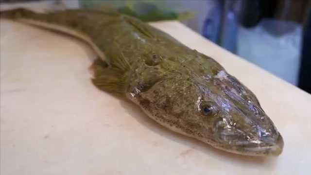 日本街头美食 狗母鱼 生鱼片 日本冲绳海鲜