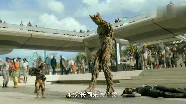 格鲁特的前世今生,感动到哭,I am Groot