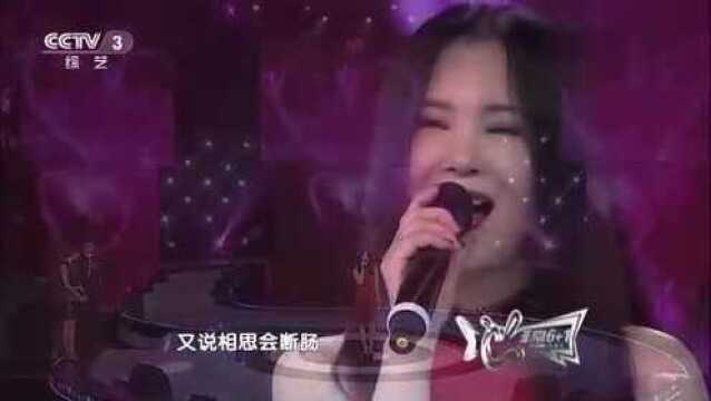 任静演唱《情网》,歌声甜美,网友:任静是个仙气十足的大美女