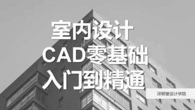 CAD2010入门到精通室内设计版第一节:界面设置