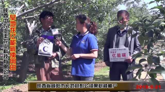 陕西中农汇丰咸阳彬县长武彭公镇苹果使用旱地龙亿能碳效果分享1