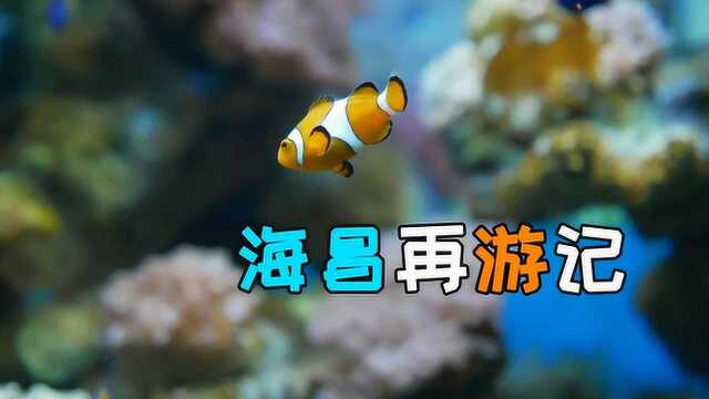 成都海昌极地公园再游记,快来看啊,你看那是什么