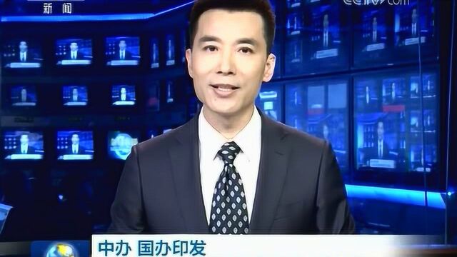 中办 国办印发《中央生态环境保护督察工作规定》