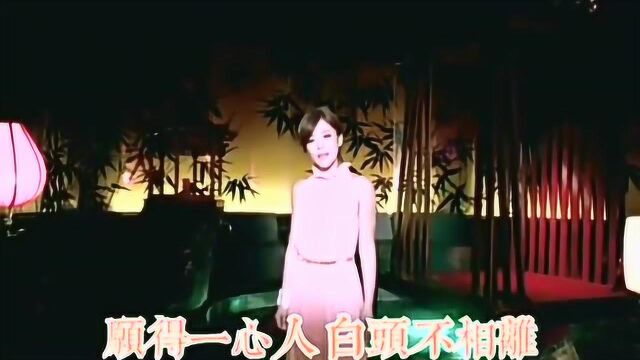 丁当的白头吟:《风中奇缘》版本的歌曲,婉转动听词藻华丽又淳朴