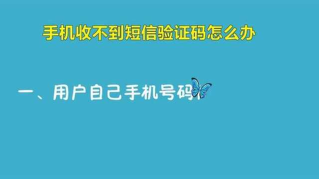 手机收不到短信验证码怎么办