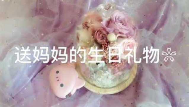 治愈系来袭:送妈妈的生日礼物