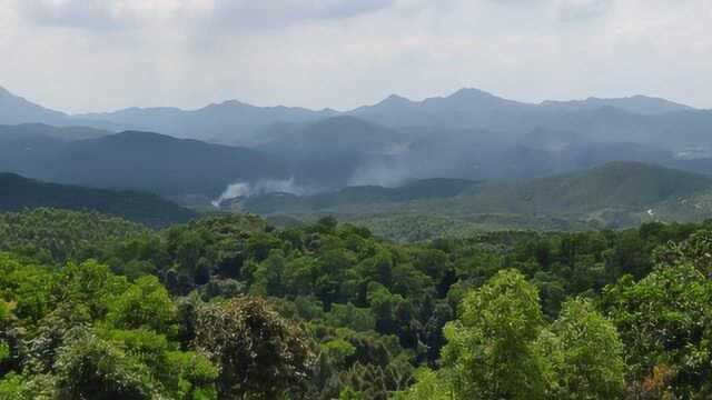 远局财星当令地,阴宅祖坟地理墓地风水大师寻龙点穴风水宝地教学