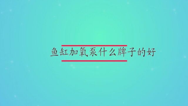 鱼缸加氧泵什么牌子的好