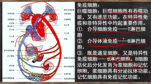 真题冲刺班公开课(泽成教育)