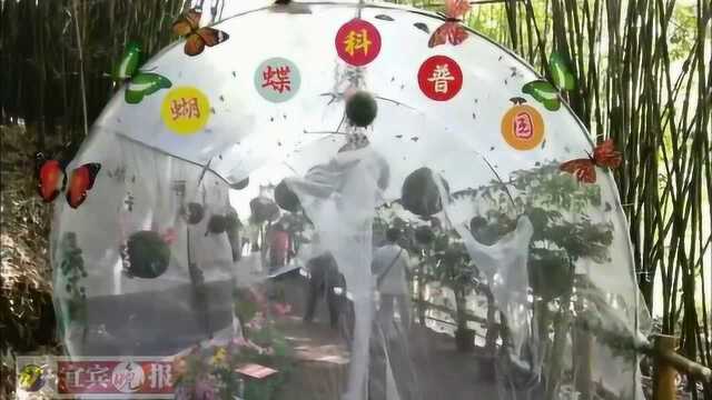 四川宜宾长宁七洞沟旅游