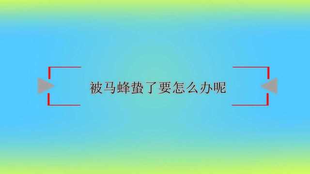 被马蜂蛰了要怎么办呢?