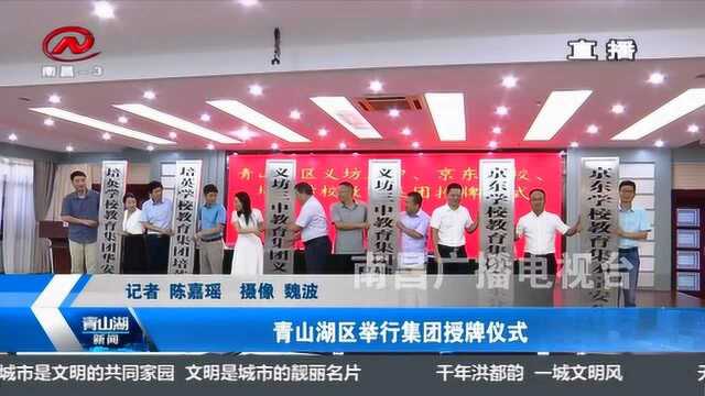 青山湖区举行集团授牌仪式