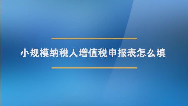 小规模纳税人增值税申报表怎么填