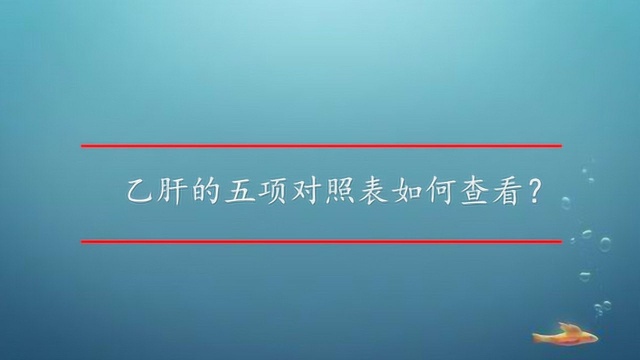 乙肝的五项对照表如何查看?