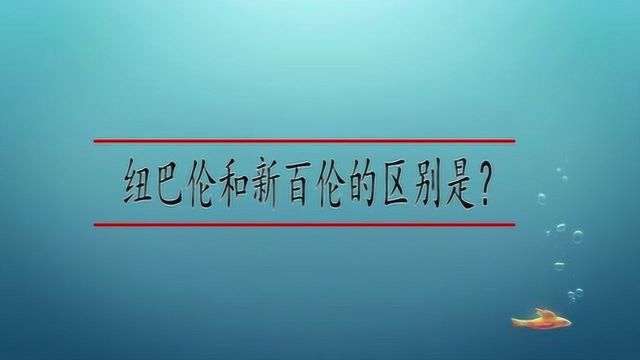 纽巴伦和新百伦的区别是?