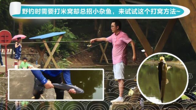 野钓时需要打米窝却总招小杂鱼,来试试这个打窝方法