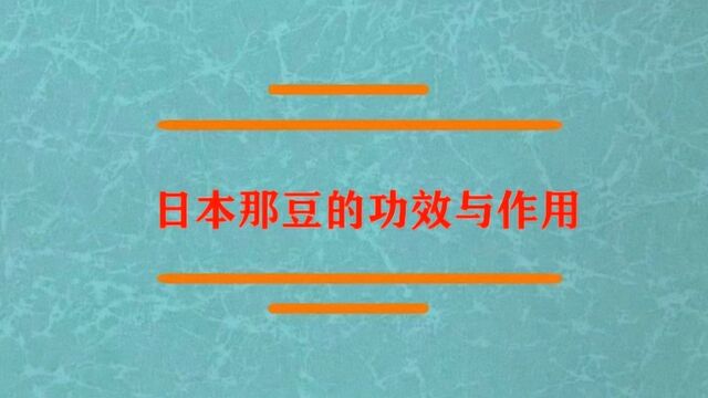 日本纳豆的功效与作用是什么?