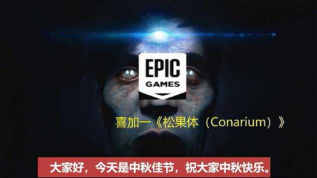 Epic喜加一限免至9月19日《松果体Conarium》